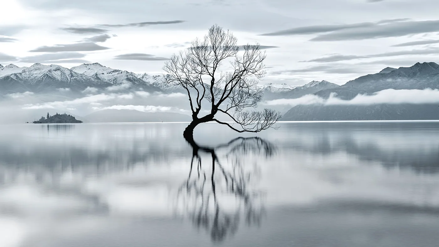 Contrast in Photography: Building Visual Impact