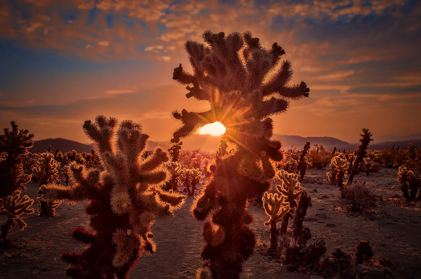 California Landscape Photography: Beyond Yosemite