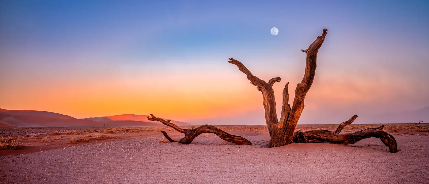 Namibia Desert Photography Guide and Tips