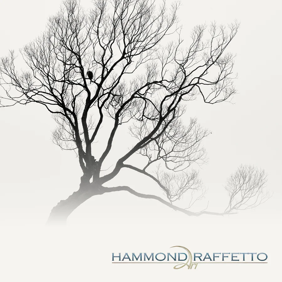 Fine Art Photography Prints